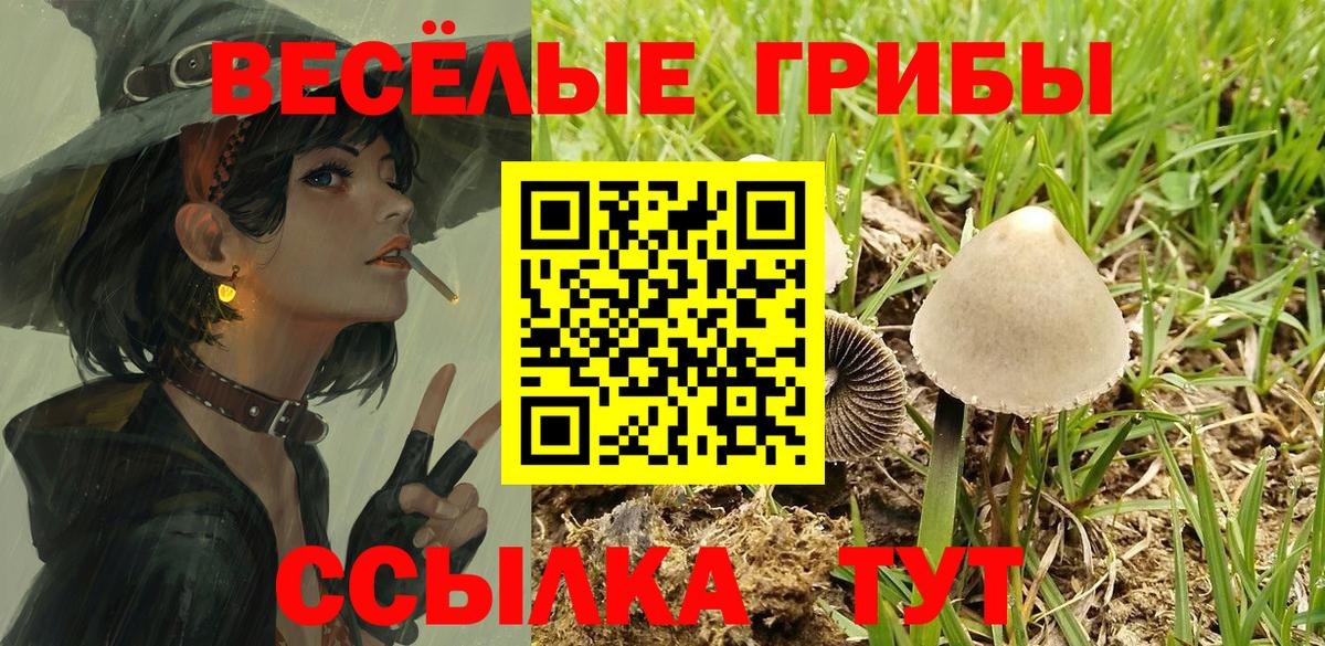Вышний Волочёк  Псилоцибиновые грибы Magic Shrooms  Вход с VPN 